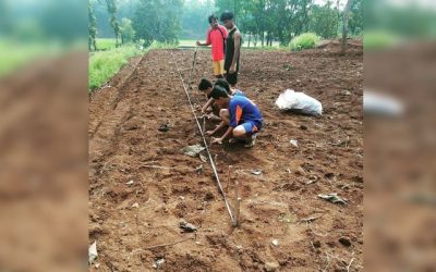 Cerita Dari Kantor: Hal Baik dan Sedih Terjadi dalam Beberapa Bulan Ini