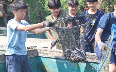 Pengalaman Seru Live-In 35 Siswa SMP Kristen Ketapang Cibubur
